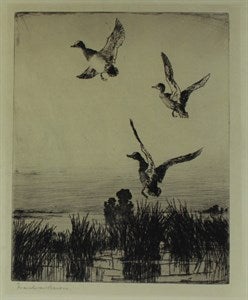 Image description is not available for DU1947.62